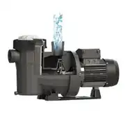 Astral Victoria Plus Silent 3 HP Trifaze Havuz Pompası 3