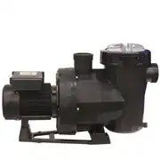 Astral Victoria Plus Silent 3 HP Trifaze Havuz Pompası 2